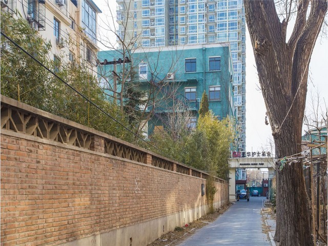 宜宾明星蓝莓苗批发多少钱